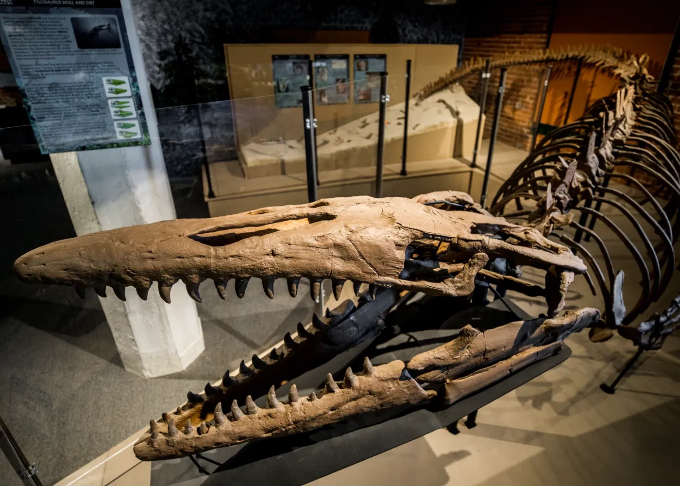 Museum of World Treasures