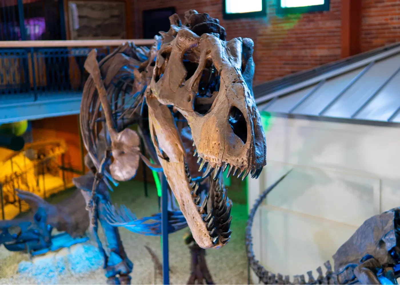 Museum of World Treasures