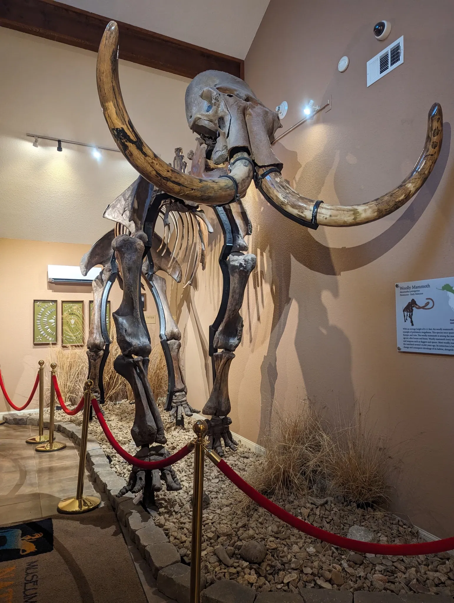 Museum of Native American History