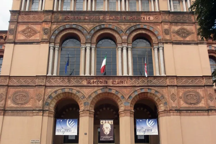 Milan Natural History Museum