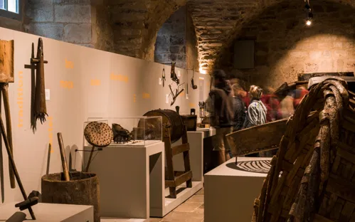 Castanea - Espace Découverte de la Châtaigne d'Ardèche