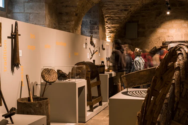 Castanea - Espace Découverte de la Châtaigne d'Ardèche