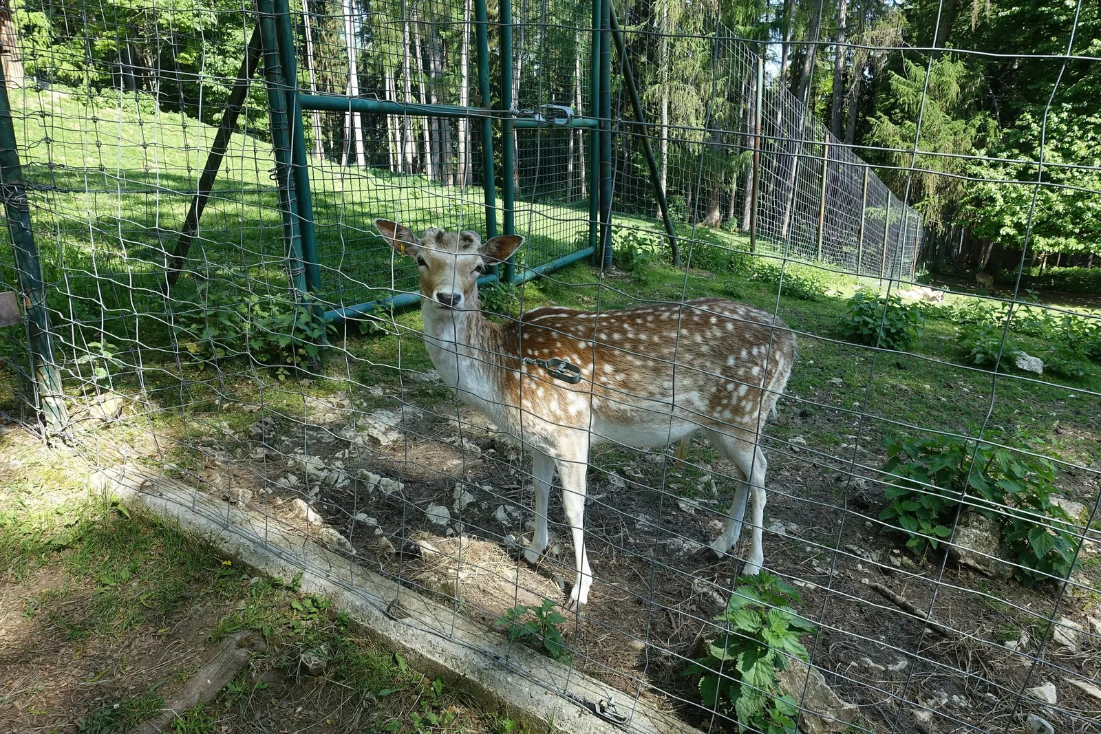 Parc Animalier de la Grande Jeanne