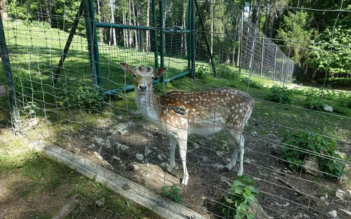 Parc Animalier de la Grande Jeanne