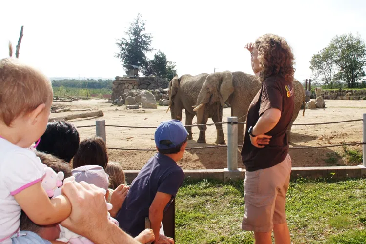 Safari de Peaugres