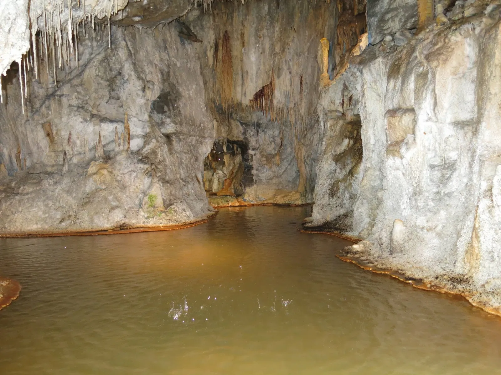 Fontaines Pétrifiantes de Saint-Nectaire