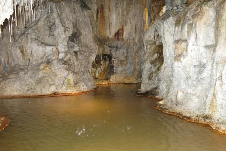 Fontaines Pétrifiantes de Saint-Nectaire