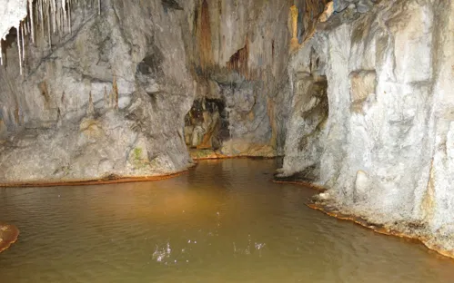 Petrifying Fountains of Saint-Nectaire