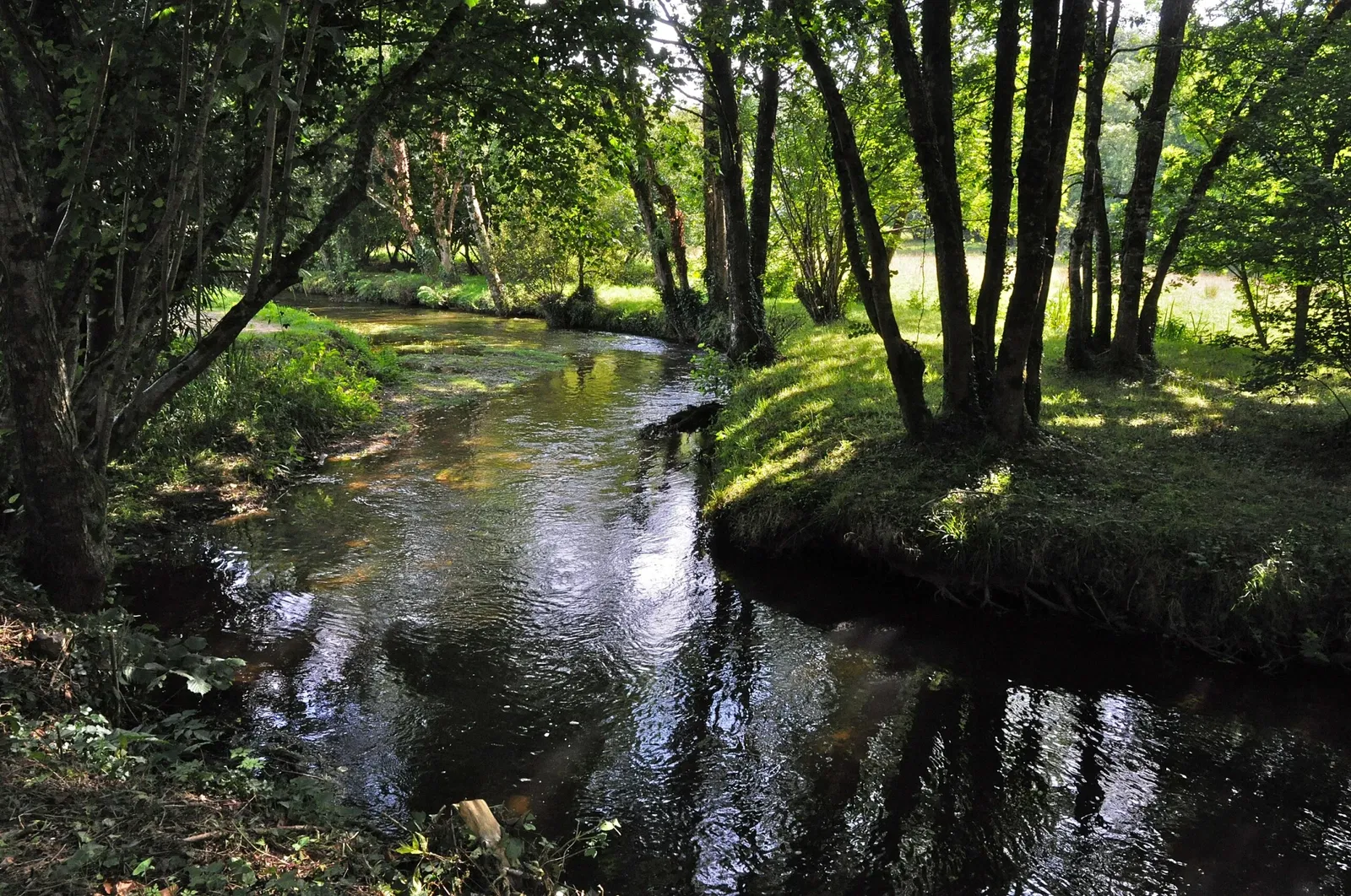 Maison de la Rivière et de la Biodiversité