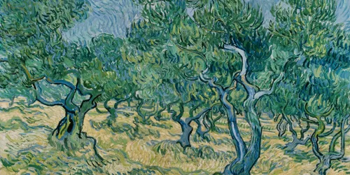 Searching for Meaning