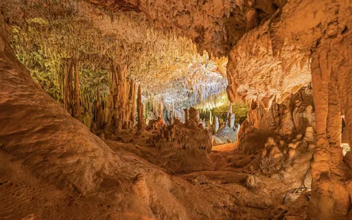 Hams' Caves