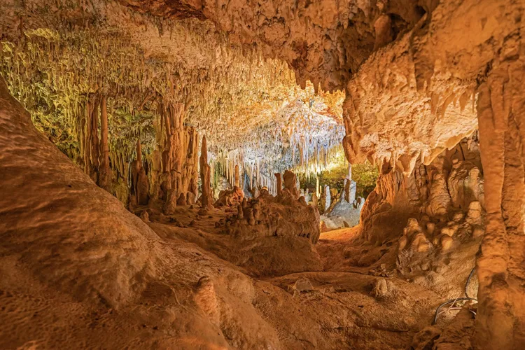 Hams' Caves