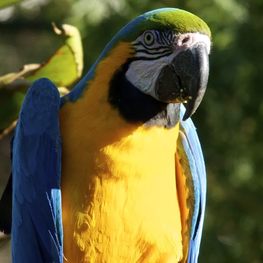 Zoológico de Temaikèn