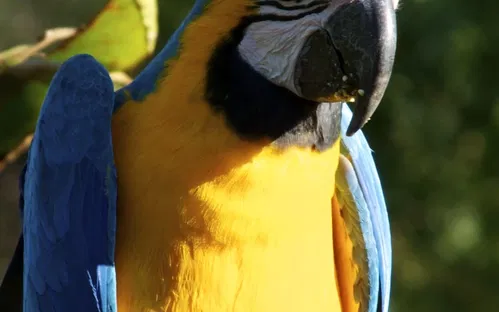 Zoológico de Temaikèn