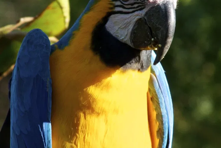 Zoológico de Temaikèn