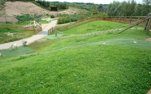 Dierenrijk - Eindhoven Zoo