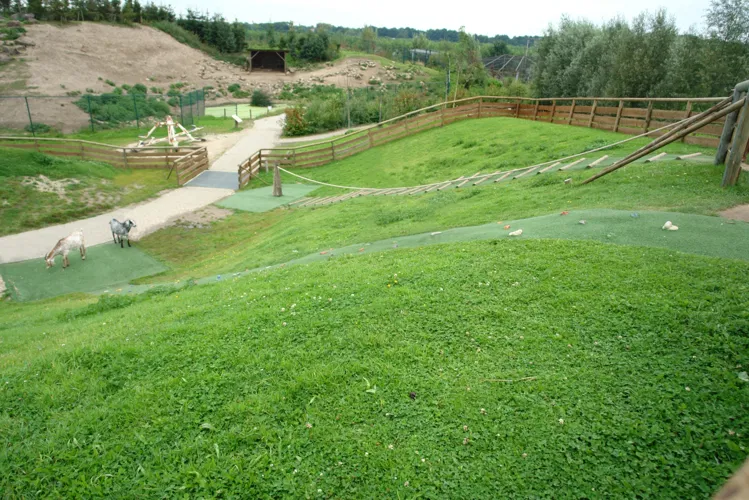 Dierenrijk - Eindhoven Zoo