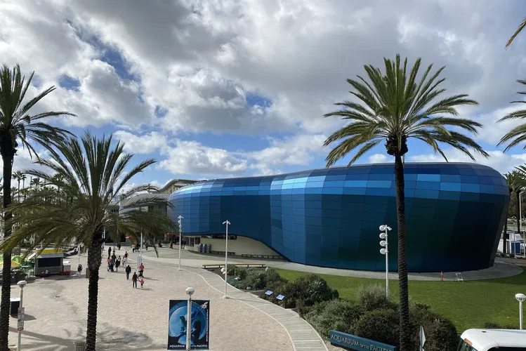 Acuario del Pacífico