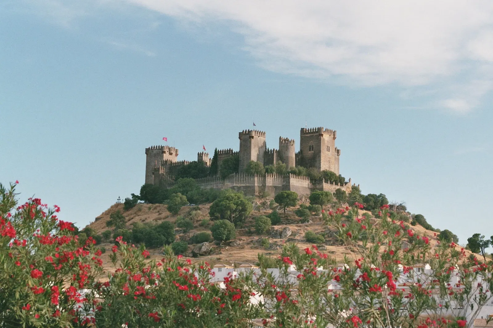 Almodóvar Castle (Almodóvar del Río) - Bezoekersinformatie & Recensies