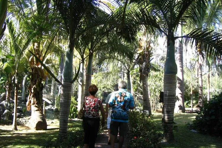 Botanical Garden