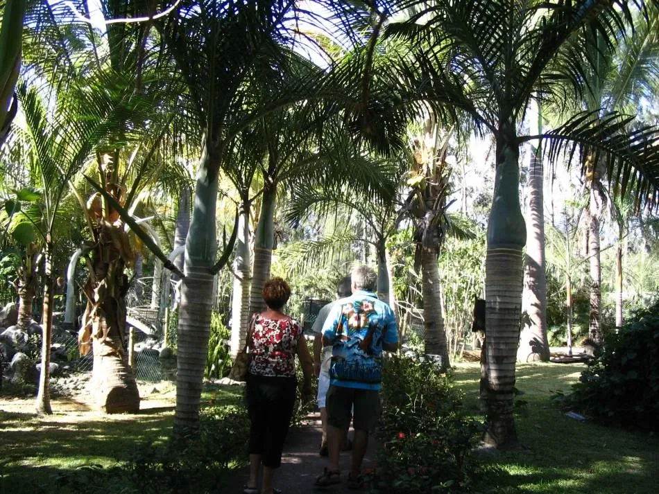Jardin Botanique