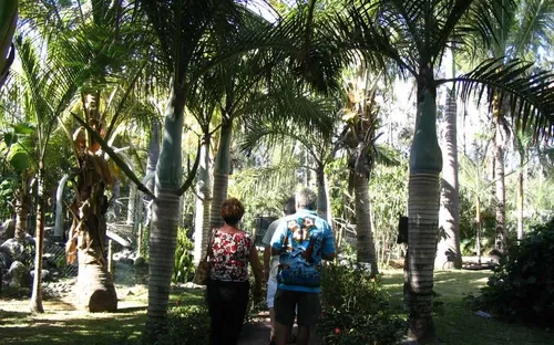 Jardin Botanique