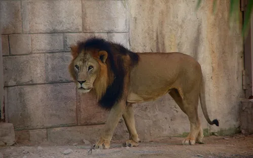 Emirates Park Zoo & Resort