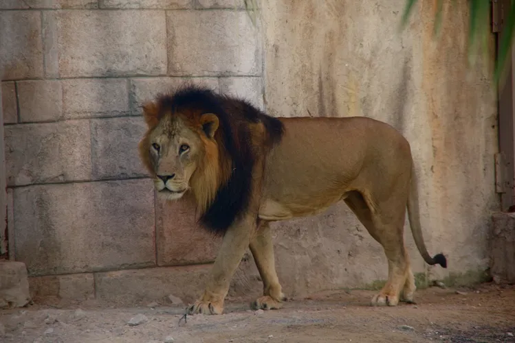 Emirates Park Zoo & Resort