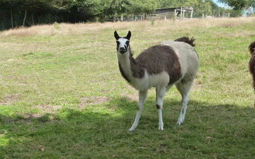 Animal Park of Pradinas