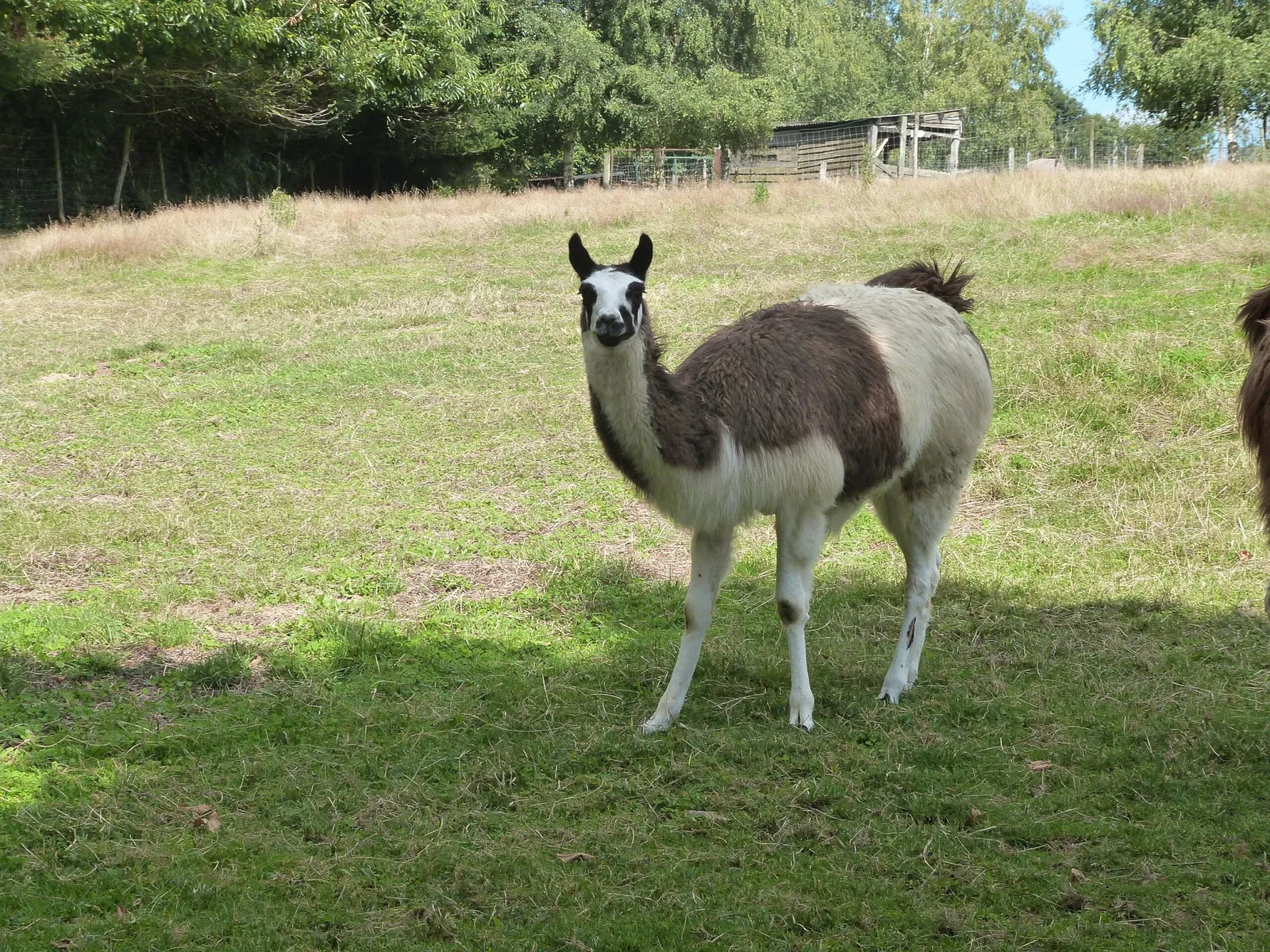 Parc Animalier du Ségala