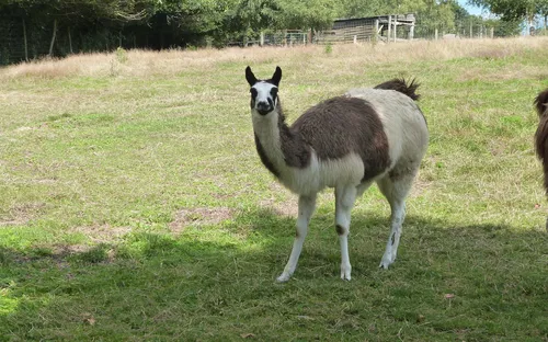 Parc Animalier du Ségala
