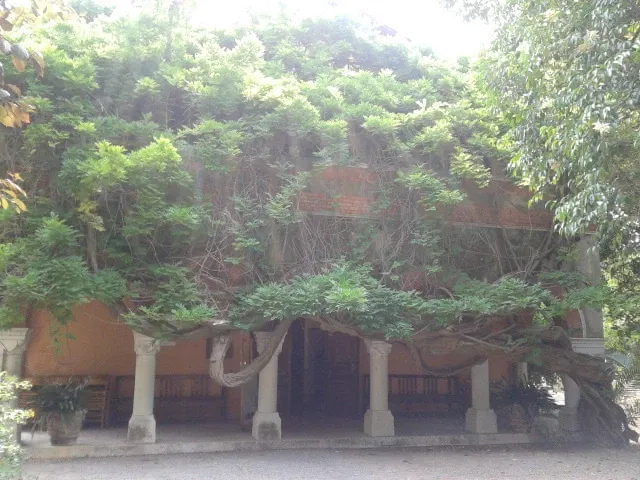 Museo Clarence Bicknell