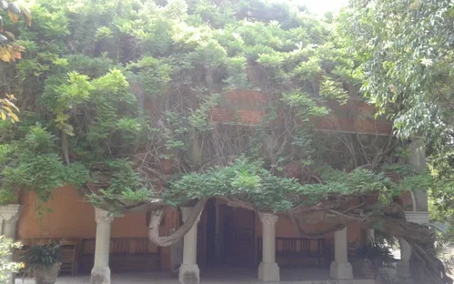 Museo Clarence Bicknell