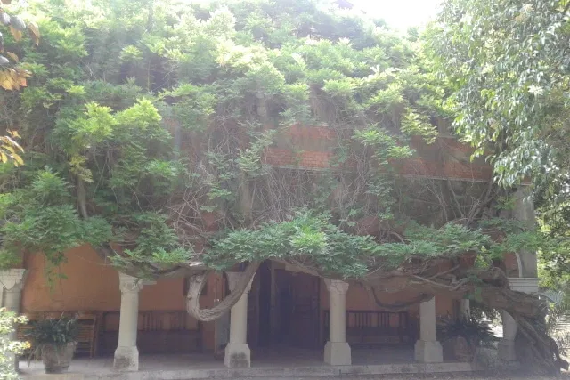 Museo Clarence Bicknell