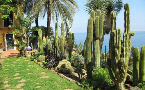 Pallanca Exotic Gardens