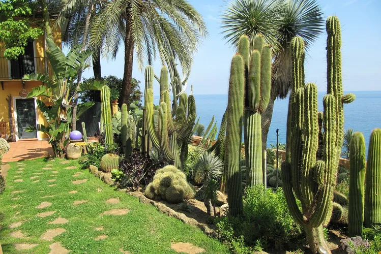 Pallanca Exotic Gardens
