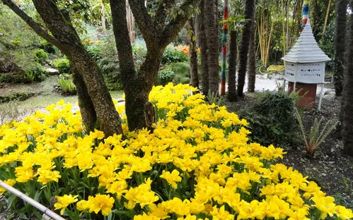 Giardino Botanico Fondazione André Heller