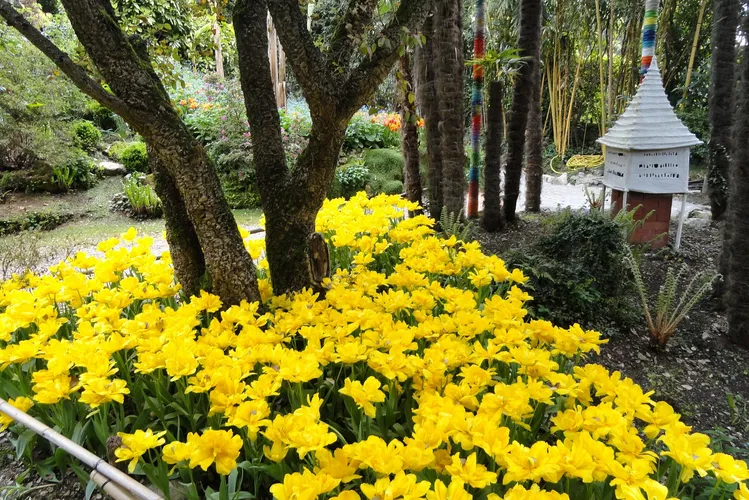 Giardino Botanico Fondazione André Heller
