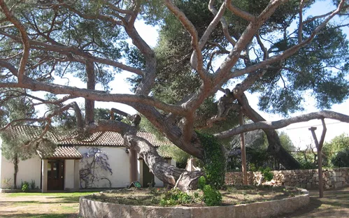 Musei Garibaldini di Caprera