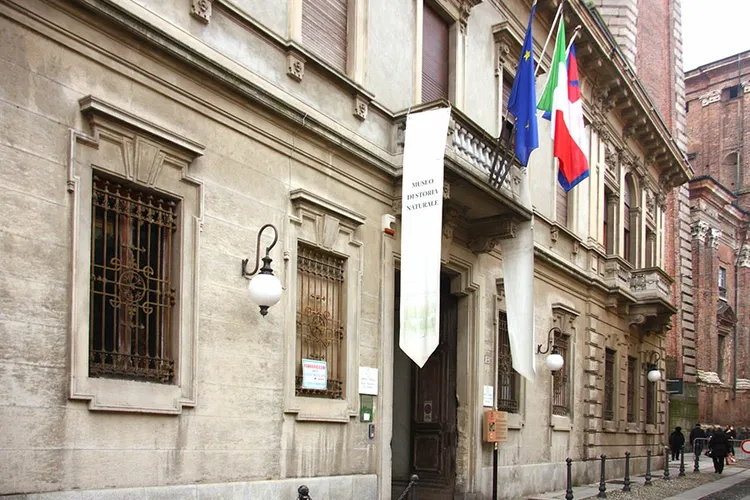 Museo di Storia Naturale Faraggiana Ferrandi