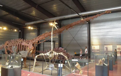 Musée des Dinosaures