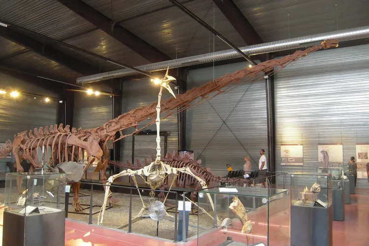 Musée des Dinosaures
