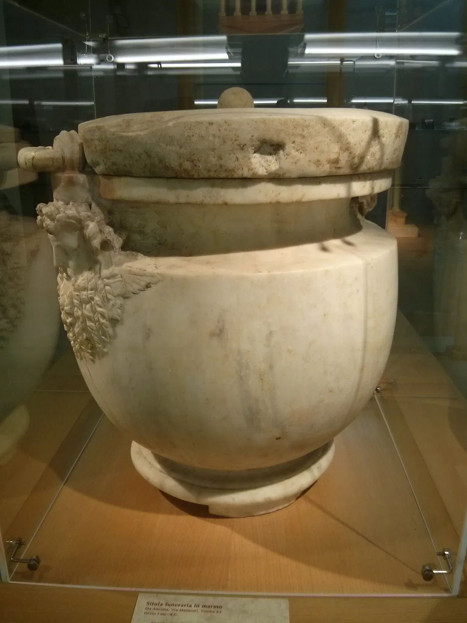 National Archaeological Museum of the Marches