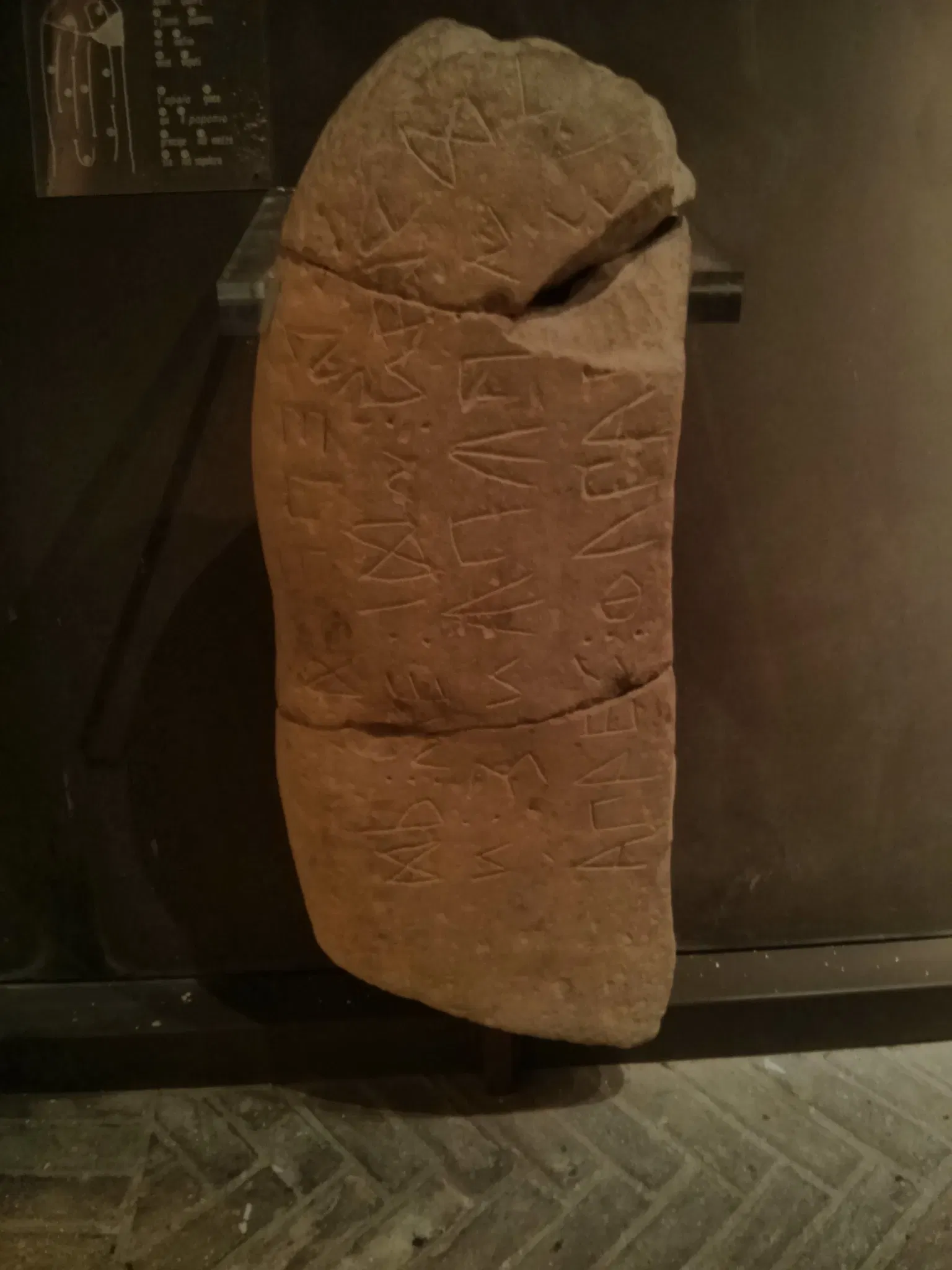 National Archaeological Museum of the Marches