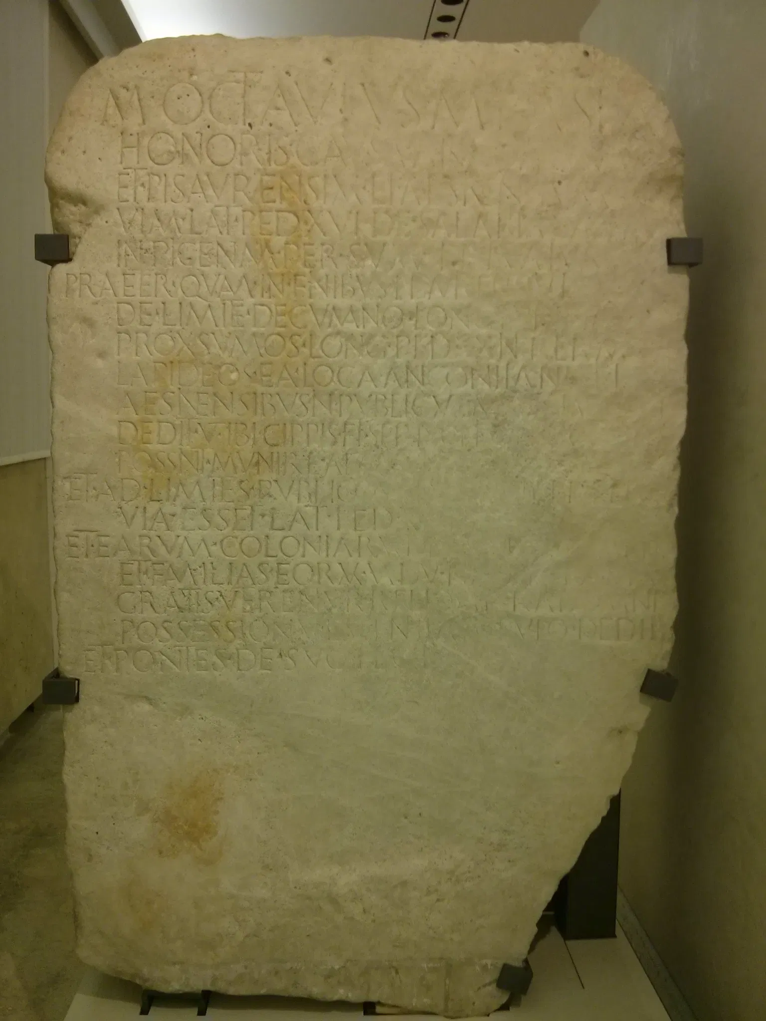 National Archaeological Museum of the Marches