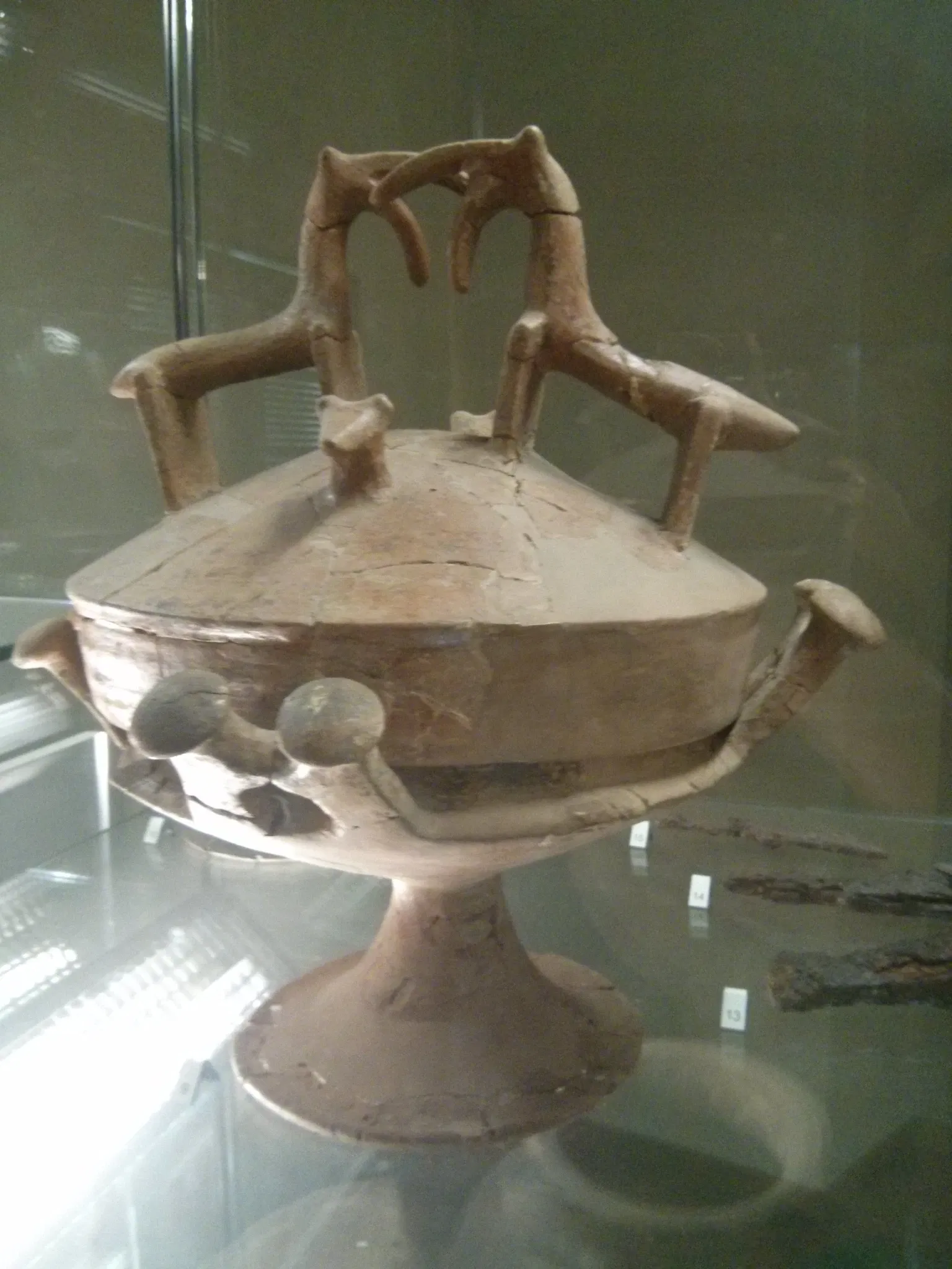 National Archaeological Museum of the Marches