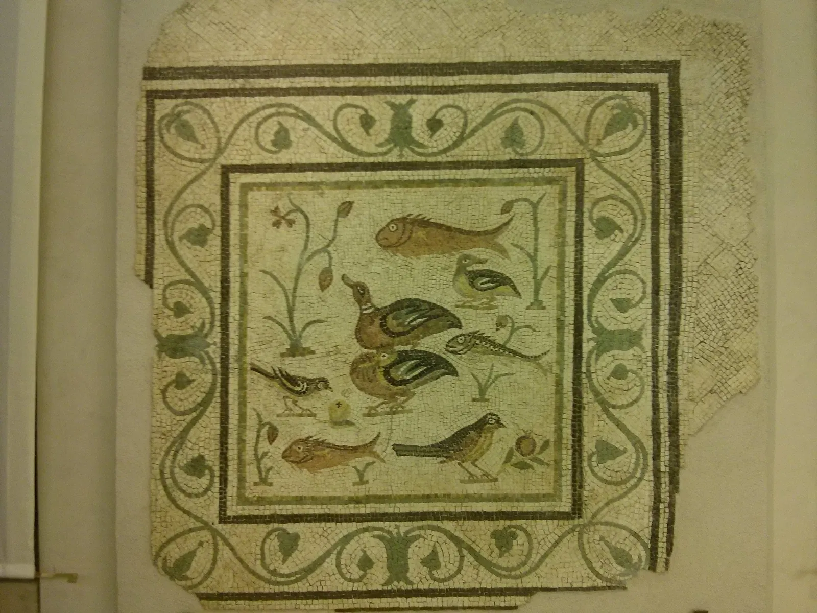 National Archaeological Museum of the Marches