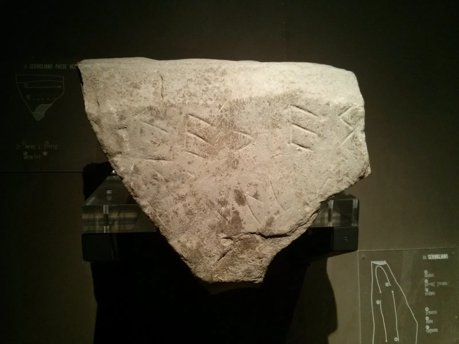 Museo Archeologico Nazionale delle Marche