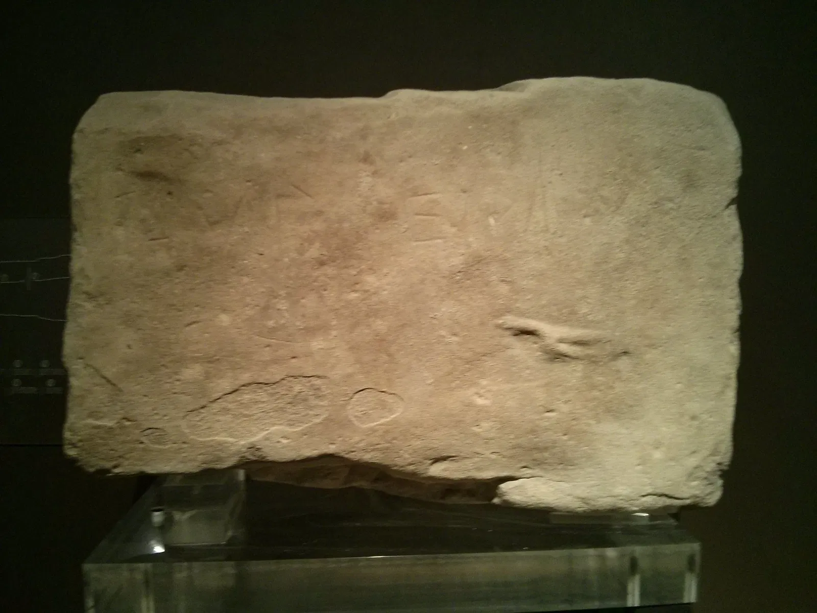 Museo Archeologico Nazionale delle Marche