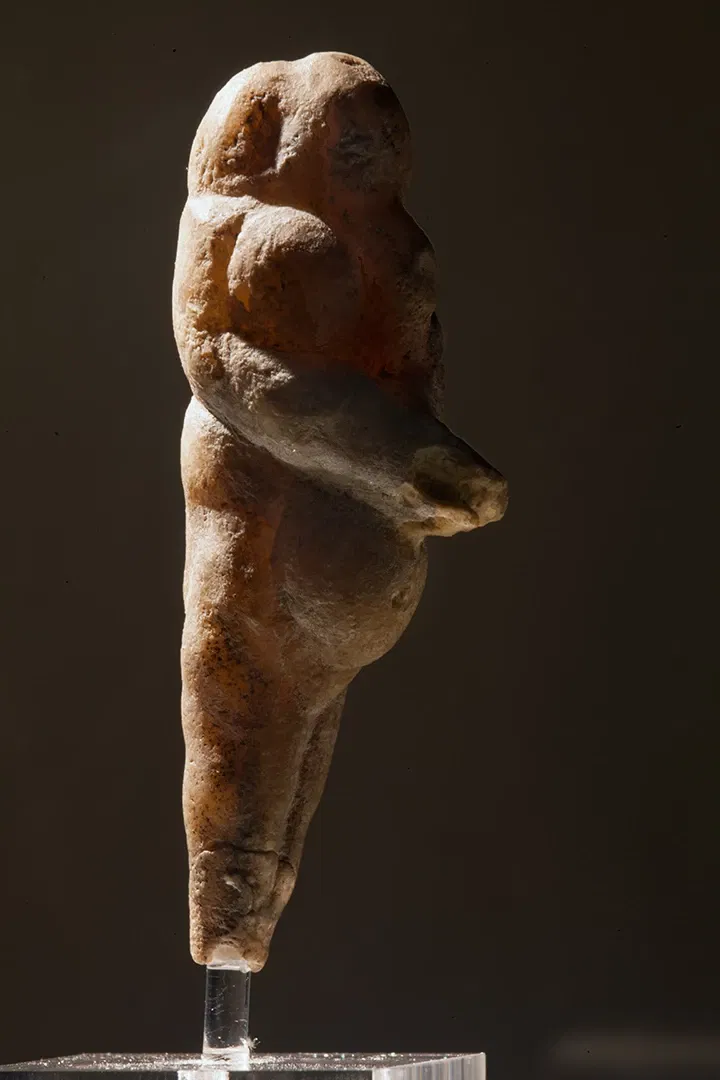 Museo Archeologico Nazionale delle Marche